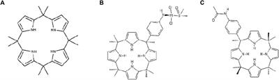 Fraisinib: a calixpyrrole derivative reducing A549 cell-derived NSCLC tumor in vivo acts as a ligand of the glycine-tRNA synthase, a new molecular target in oncology